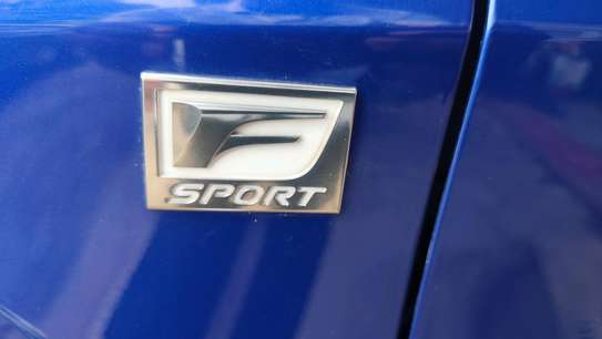 Lexus RX200t 2018 sunroof image 5