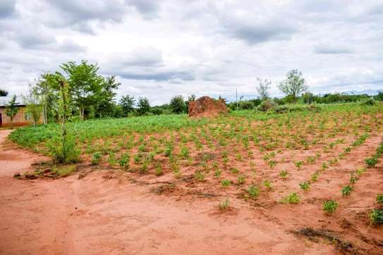 100 by 100 ft plot in Omega Estate Kibwezi Makueni County image 9