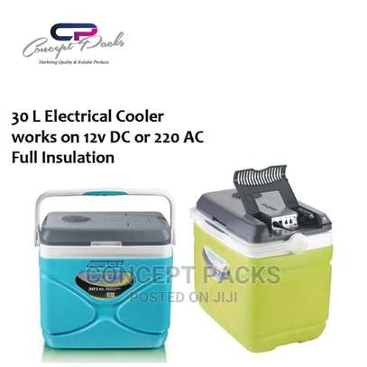 OFFER! Pinnacle 30L Power Electric Cooler image 1