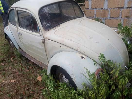 Volkswagen beetle image 5