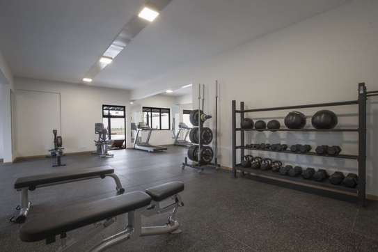 Furnished 2 Bed Apartment with En Suite in Thika Road image 3