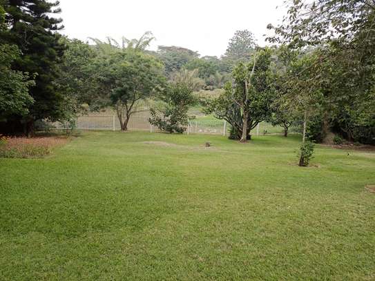 5 Bed House with Garage in Gigiri image 20