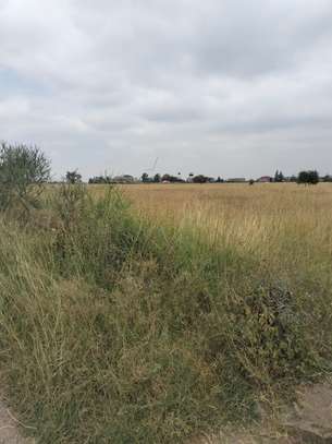 Land in Katani image 7