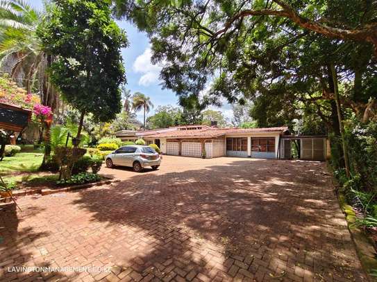 Commercial Property with Fibre Internet at Lavington Green image 21