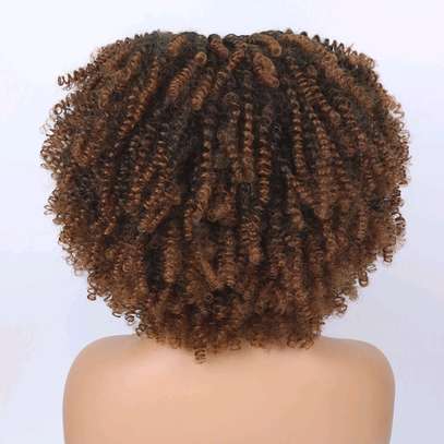 Curly crochet wigs image 5