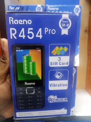 Raeno R454 3lines button phone image 1