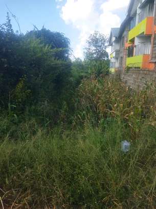 50by100 plot for sale in ruaka image 2