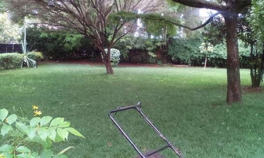Lawn Mower Grass Cutting Services In Nairobi Pigiame