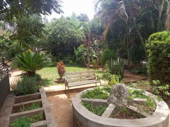 1 ac Land at Marula Road image 8