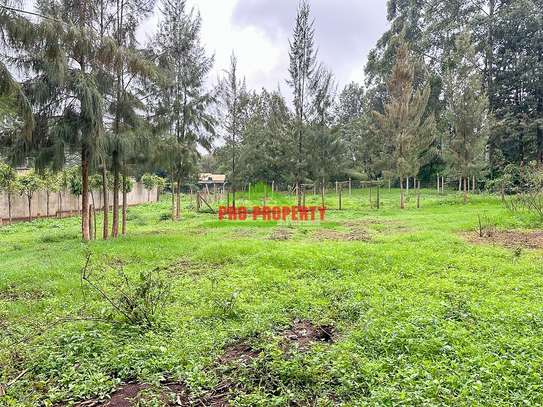 0.05 ha Commercial Land in Kikuyu Town image 16