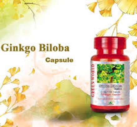 Green world ginkgo biloba capsule image 3
