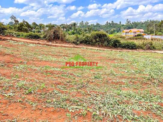0.05 ha Residential Land at Ondiri image 12