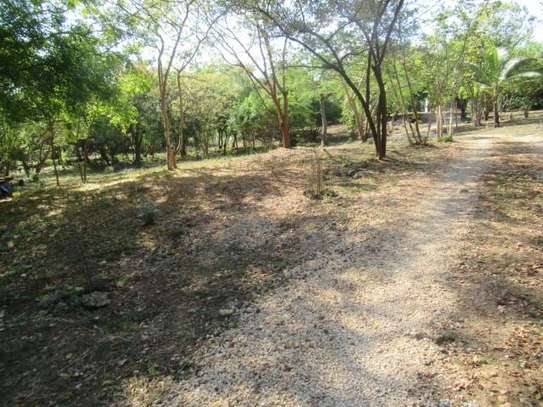 1 ac Commercial Land at Diani image 2