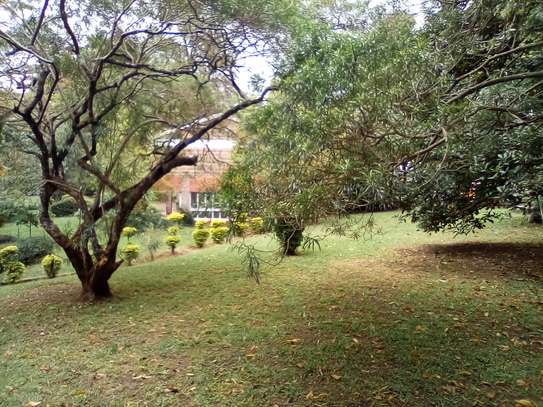 1.1-Acre Plot For Sale in Kyuna image 6