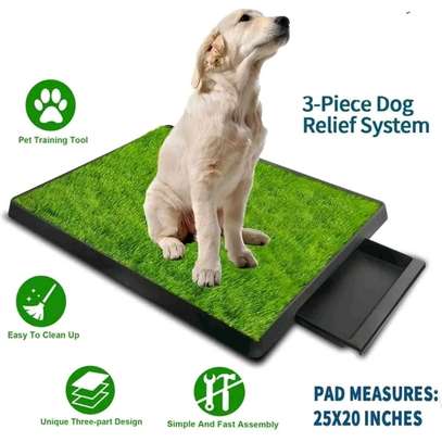 Pet Potty Trainer) Dog relief system image 1