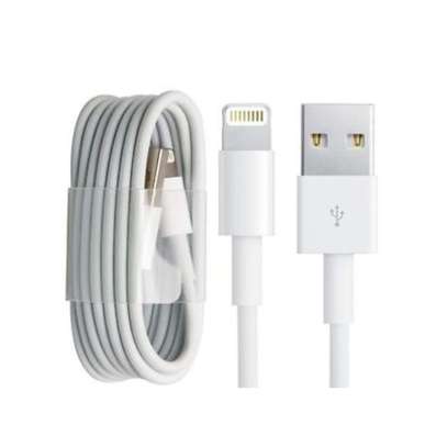 Apple USB Data Cable Compatible With IPhone image 1