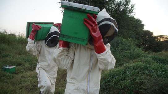 New bee suits in Kenya image 1