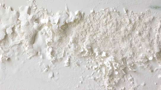 dumpness and mould solutions image 3