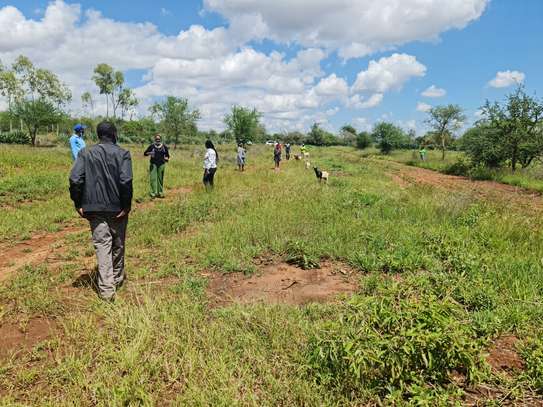Affordable 50 by 100 land for sale in Matuu image 1