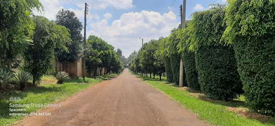 Residential Land in Runda image 20