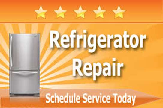 Best Fridge/Appliance Repair & Maintenance Services | emergency refrigerator repair image 14