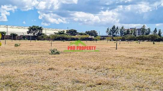 0.05 ha Residential Land in Naivasha image 16