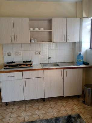Fully Furnished Studio Apartment with Appliances image 4