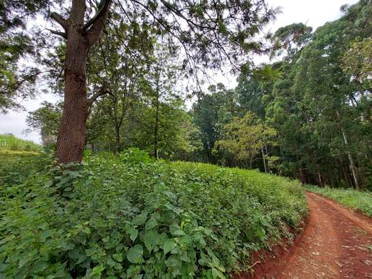 Residential Land at Rosslyn Redhill Road image 26