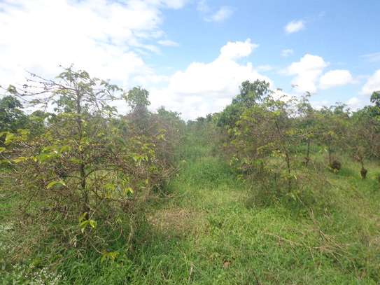 Blocks of Land For Sale in Murang'a - Thika-Gatanga Rd image 4