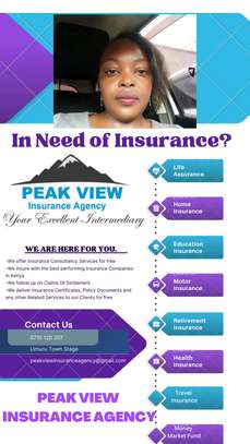 Peak View Insurance Agency image 1