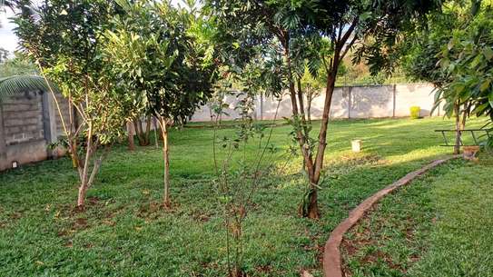 Detached House with Large Garden & Secure Windows image 3