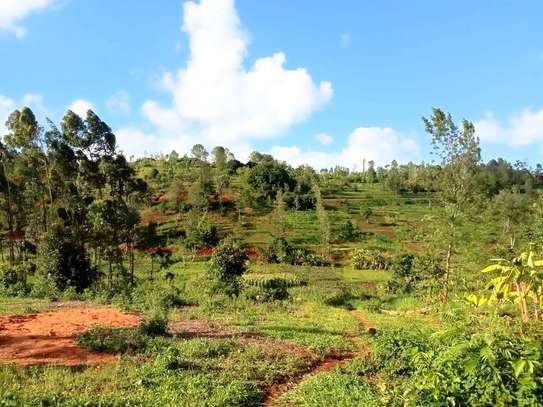 4 ACRES-MURANG'A COUNTY image 4