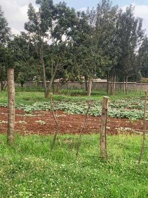 Land in Kikuyu Town image 8