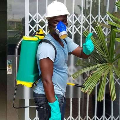 Fumigation Services Eastleigh image 2