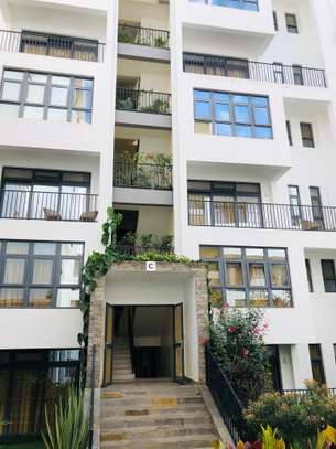 Serviced 1 Bed Apartment with En Suite at Spring Valley image 9