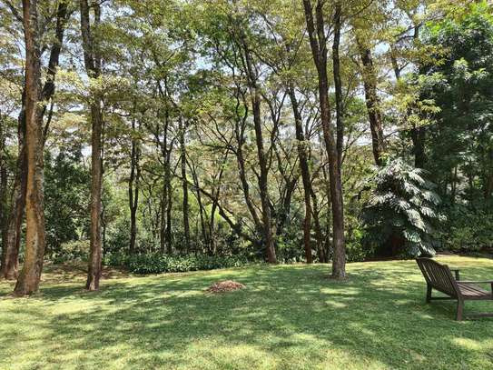 4 Bed House in Kitisuru image 19