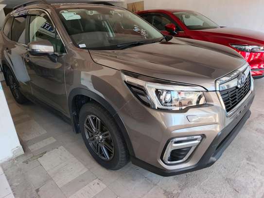 Subaru foerster Eboxer image 7