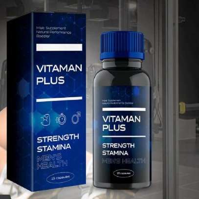 Vitaman Plus Pills image 2