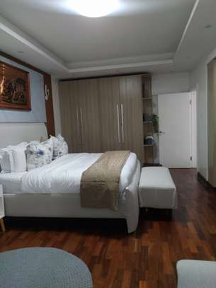 Serviced 3 Bed Apartment with En Suite at Othaya Road image 10