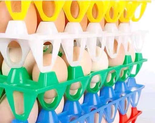 Plastic Egg trays image 4