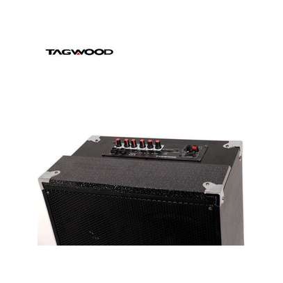TAGWOOD 10A Outdoor Speaker, Bluetooth Microphone, Battery image 3
