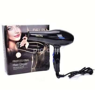 Deliya Professional Hair Blow Dryer image 1