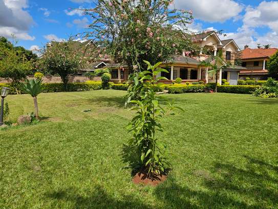 6 Bed House with En Suite at Runda image 10