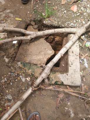 Exhauster services (kutapisha choo) changamwe image 4