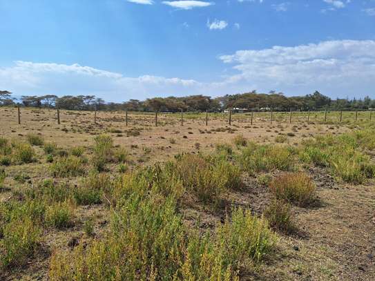 0.5 Acre land For Sale in Naivasha,Kedong ranch image 5