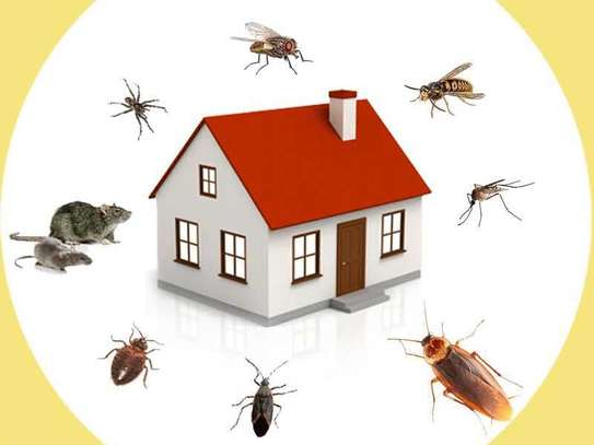 Bed Bug Fumigation and Pest Control Services in Runda/Ruaka image 2