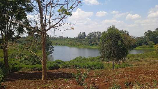 Prime 50x100 plots for sale in Ruiru- Tatu area. image 1