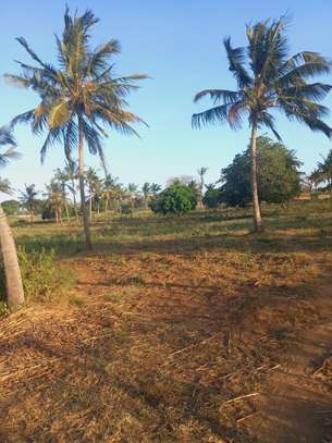 Land at Mavueni Kaloleni Road image 8