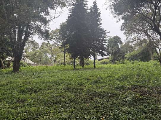 5 ac Land in Kitisuru image 10