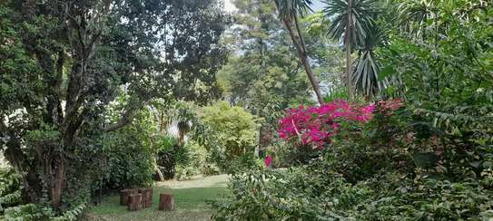 1 ac Commercial Land in Kilimani image 12